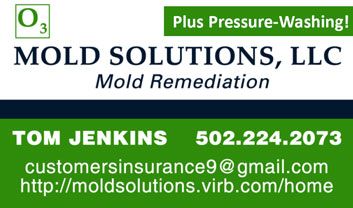 Tom Jenkins, Mold Solutions